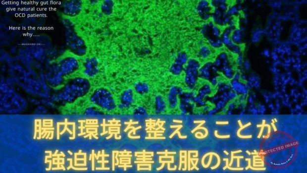 強迫性障害と腸内細菌(フローラ)【改善方法】 p0093122 (1)